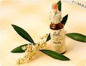 Dikkat Eksikliği ~ Hiperaktivite Bozukluğu (DEHB)