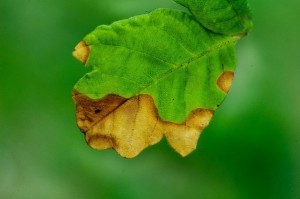 31 Mayıs 2013 Tarihi İtibariyle Başlayan Değişim Dalgası