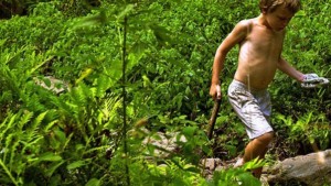 Dikkat Eksikliği ~ Hiperaktivite Bozukluğu (DEHB)