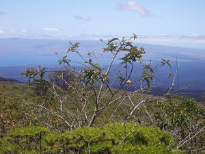 bir tatil daha bitti