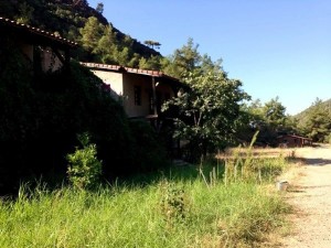 Pastoral Vadi ve Doğal Yaşam